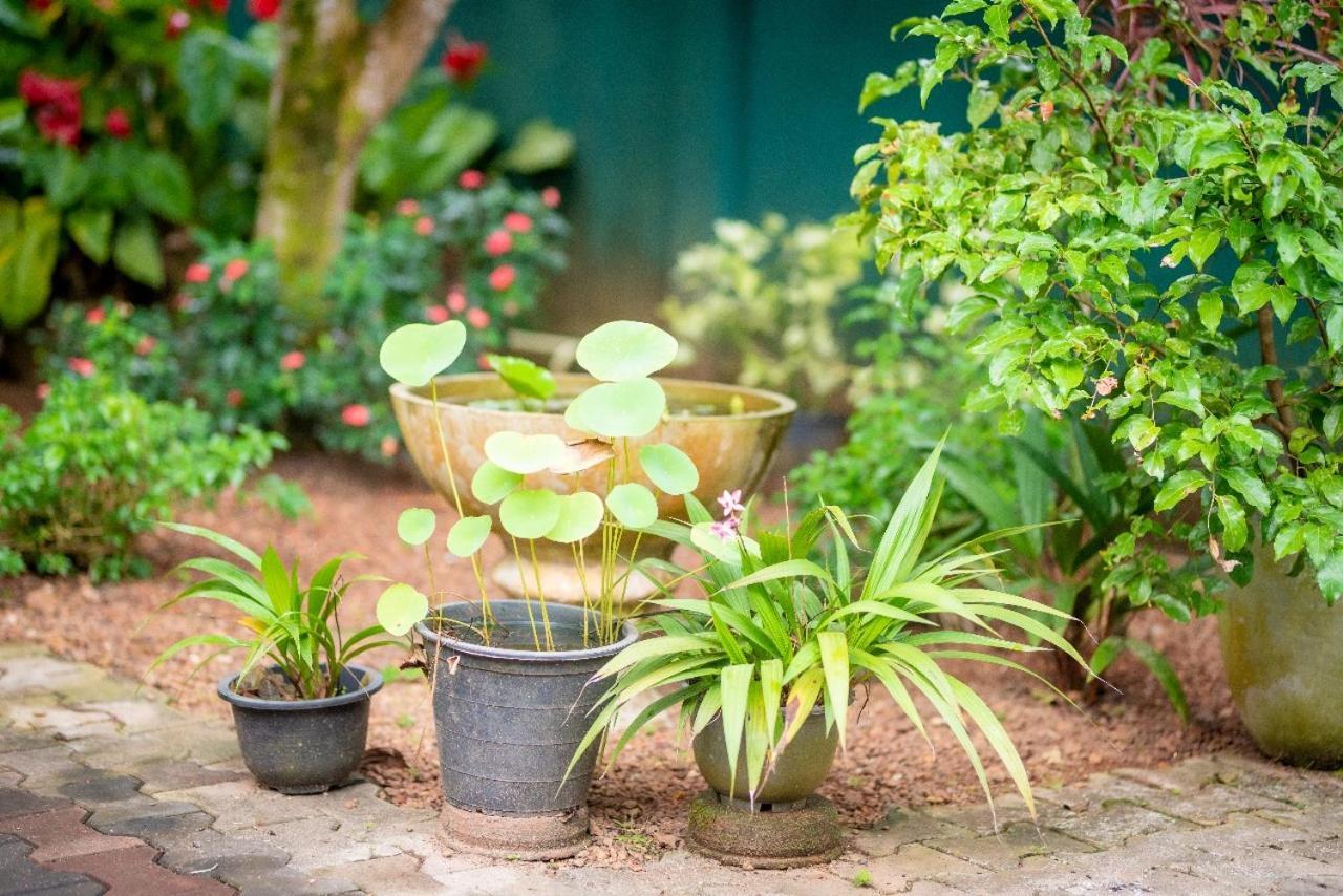 Villa Aanya Hikkaduwa Luaran gambar